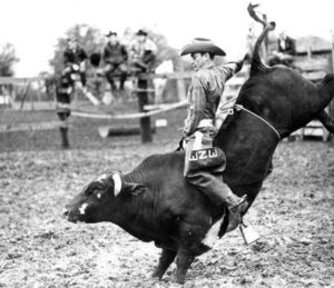 Gene Dollar / Bull Riding