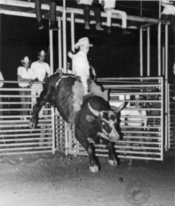 Tim Horton / Bull Riding