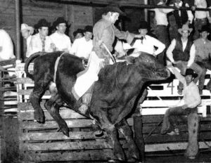 ROBERT ANDERSON/ BULL RIDING