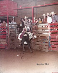 Empty Sdaale Bull Rider- Ricky Moore